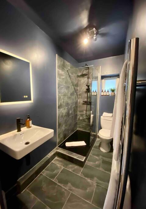 Stylish Studio For 3 Near Regents Park N4 ロンドン エクステリア 写真