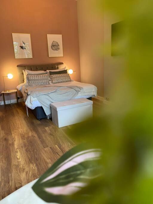 Stylish Studio For 3 Near Regents Park N4 ロンドン エクステリア 写真