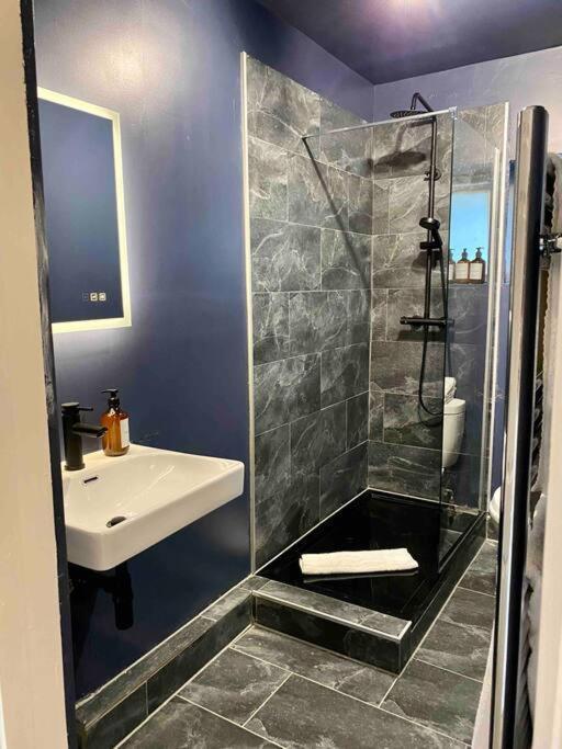 Stylish Studio For 3 Near Regents Park N4 ロンドン エクステリア 写真