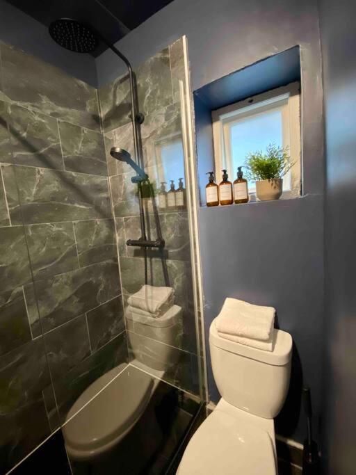 Stylish Studio For 3 Near Regents Park N4 ロンドン エクステリア 写真